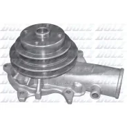 ������� ����� DOLZ O102 O102 ����