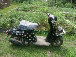 Suzuki Ran. 49����. ��., ��������, ��� ���, ������ �� �� ����