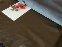 ���� �����������. ����