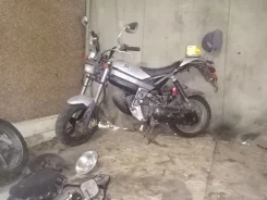 Suzuki Street Magic. 50����. ��., ����������, ������ �� �� ����
