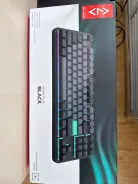 ����������. ����