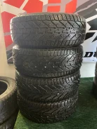 Tigar Winter. ������, ��� �����, 2018 ���, �/�, ����� 5 % ����