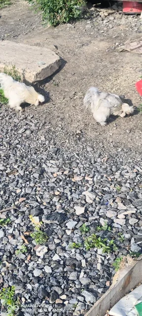 ����. ����