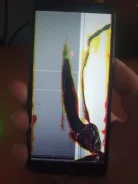 Honor 7C. �/�, 32 ��, �����, 3G, 4G LTE, Dual-SIM ����