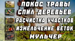 ������ ������ �����. ����