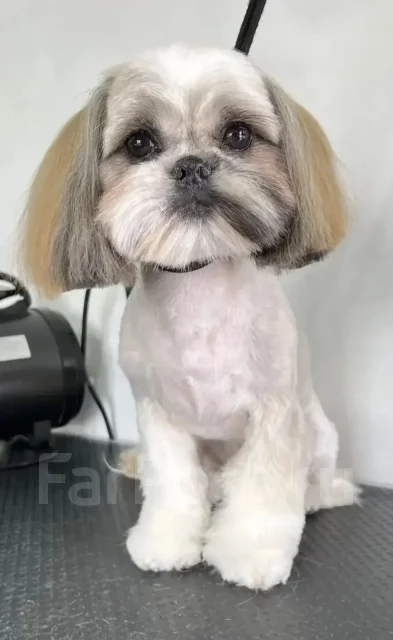 ��-���. ����