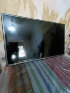LG ����