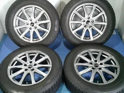 Manaray Sport Euro Speed