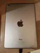 Apple iPad Mini. 7 ������, ������ 16 �� ����