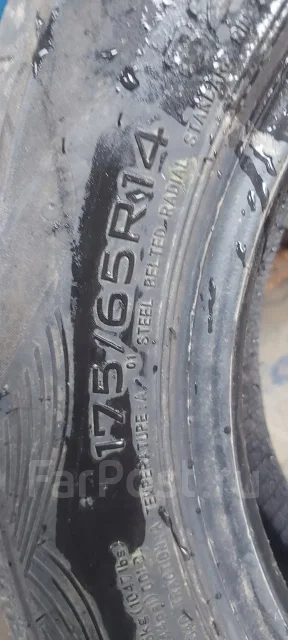 Mileking Ex-Comfort. ������, 2025 ���, �/�, ����� 45 % ����