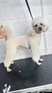 ���������� ������. ����