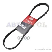 ������ ������������ XF 68370 Gates 6PK1070 6PK1070 ����