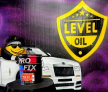 Pro Fix. 0W-20, �������������, 1��. ����
