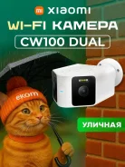 IP-������. ����