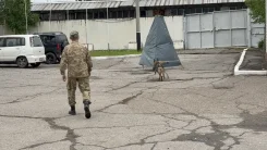 ��������, ��������� ��������. ����