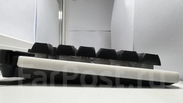 ����������. ����
