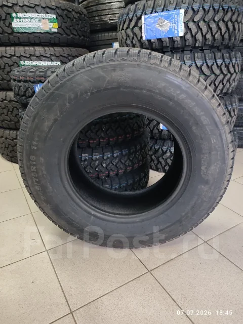 Triangle Snowlink PL01. ������, ��� �����, 2026 ���, ����� ����