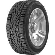 ZMax Winternova Stud III