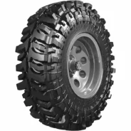 Accelera Badak X-Treme