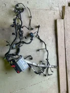 ���� � �������, ���� ��� 31312651 ����