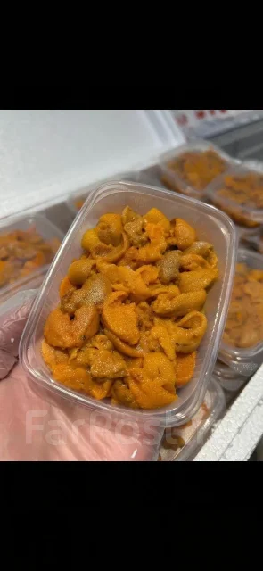 ������� ��������. ����