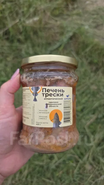 ������� ��������. ����
