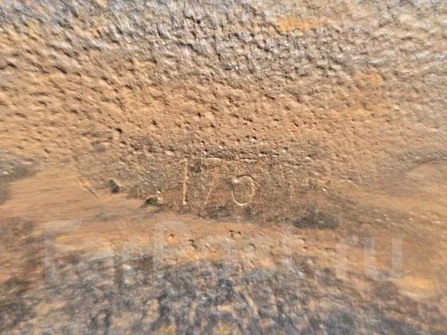 Forza