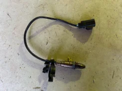 ������ ���� 31319664 31319664 ����