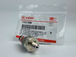 ������ �������� ����� Haval Dargo Jolion F7 F7x H2 H6 H9 M6 Tank 300 Tank 400 GW4G15 GW4N20 1002800EG01 1002800EG01 ����