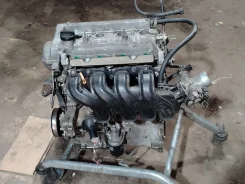 ��������� Toyota Probox 2005 NCP51 1NZ-FE 1900021200 ����
