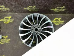 Falken Aviator