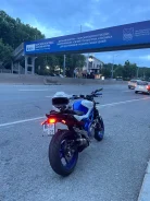 Suzuki SFV 650 Gladius. 645����. ��., ��������, ���������, ������ �� �� ����