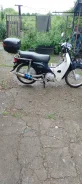 Honda Super Cub. 49����. ��., ��������, ��� ���, ������ �� �� ����