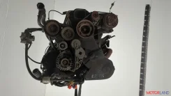 ���������� ������������ Volkswagen Passat 5 1996-2001 11883228 8D0260805M ����