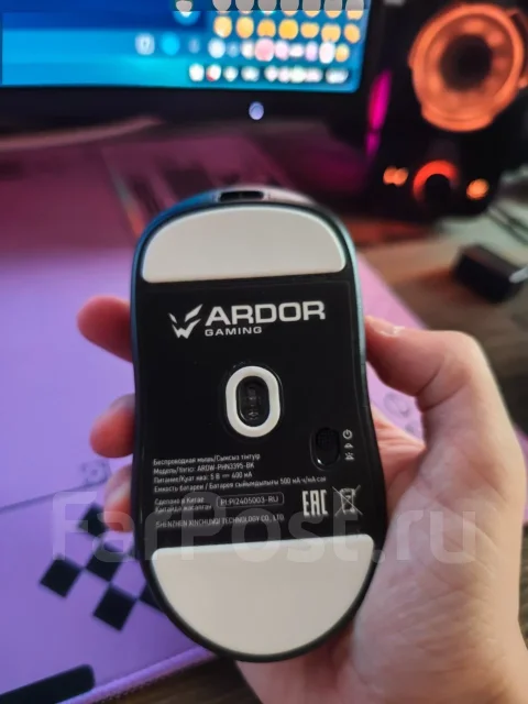 ���� �������. ����