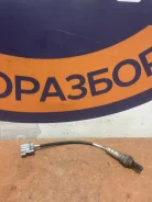 ������ ��������� Honda Accord Torneo 36531PCA004 CF3 2002 36531PCA004 ����