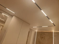 ������ �������� ��������. ����