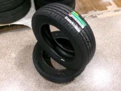 Dunlop Enasave EC205