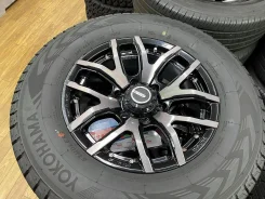 RAYS Team Daytona FDX F6