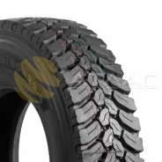 Teerex. �����������, 2026 ���, ����� ����