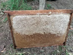 �e� ������� ����