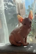 ������. ����