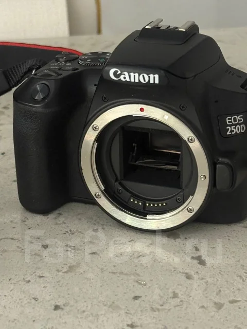 Canon EOS 250D ����
