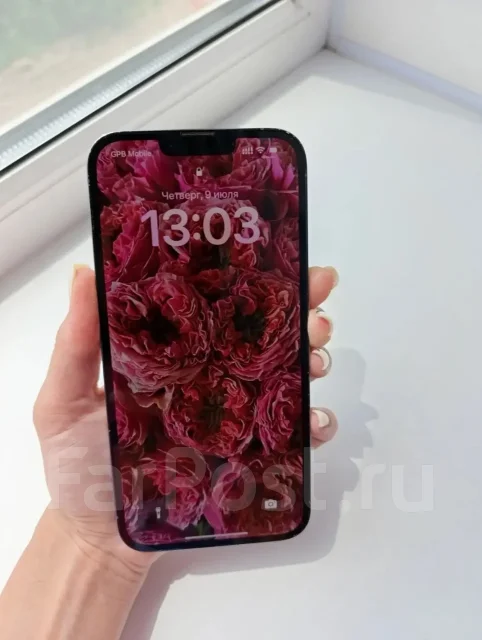 Apple iPhone 13 Pro Max. �/�, 256 ��, �����, eSIM ����