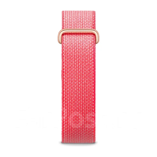 Fitbit Air ����