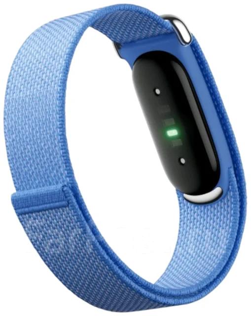 Fitbit Air. ��� ����� �� ������������ ����