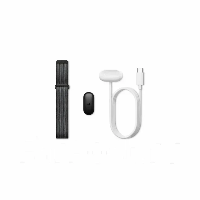 Fitbit Air ����