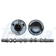 ���������� Renault Freccia [CM052210] CM052210 ����