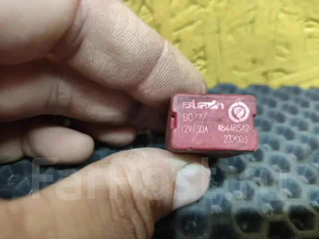 ���� (������) 46446542 ����