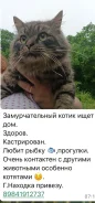 �����. ����